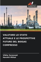 Valutare Lo Stato Attuale E Le Prospettive Future del Biogas Compresso (Italian Edition) 6203338001 Book Cover