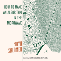 How to Make an Algorithm in the Microwave 1682262138 Book Cover