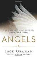 Angels: Who They Are, What They Do, and Why It Matters 0764213555 Book Cover