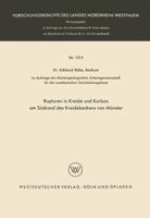Rupturen in Kreide Und Karbon Am Sudrand Des Kreidebeckens Von Munster 3663040178 Book Cover