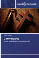 Contemplatio: Piccole meditazioni sui misteri del rosario 6138392140 Book Cover