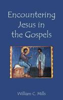 Encountering Jesus in the Gospels 1601910371 Book Cover