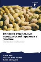 Влияние сушильных повер& 620571101X Book Cover