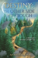Destiny: The Other Side of Through 1734200308 Book Cover