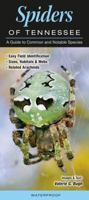 Spiders of Tennessee: A Guide to Common & Notable Species 1943334587 Book Cover