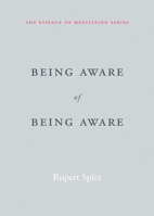 Being Aware of Being Aware 1626259968 Book Cover