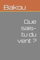 Que sais-tu du vent ? (French Edition) B0DRPM3R3D Book Cover