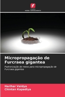 Micropropagação de Furcraea gigantea (Portuguese Edition) 6207851684 Book Cover