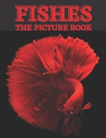 Fishes: The Picture Book of Beautiful Fishes for Dementia, Senior's & Alzheimer's. B08WZBYXR9 Book Cover