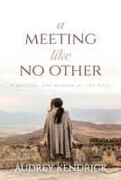 A Meeting Like No Other: A Modern-Day Woman at the Well B0CC6WQLN5 Book Cover