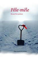 Pêle-mêle: Recueil de poèmes B0BYRH3HQD Book Cover