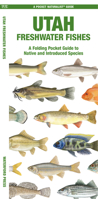 Utah Freshwater Fishes: A Folding Pocket Guide to Native and Introduced Species 1620058286 Book Cover