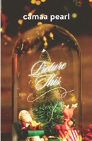 Picture This: A Christmas Short (Catching Feelings) B0DP9YBSB5 Book Cover
