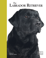 Labrador Retriever 1906305218 Book Cover