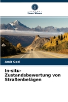 In-situ-Zustandsbewertung von Straßenbelägen 6204026453 Book Cover