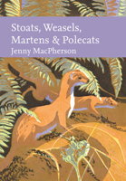 Stoats Weasels Marten_nn Li Hb 0008334935 Book Cover