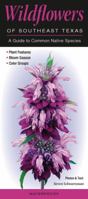 Wildflowers of Southeast Texas: A Guide to Common Native Species 0982621167 Book Cover