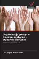 Organizacja pracy w trzecim sektorze - wydanie pierwsze (Polish Edition) 6209552811 Book Cover