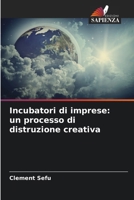 Incubatori di imprese: un processo di distruzione creativa (Italian Edition) 6207771818 Book Cover