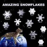 Amazing Snowflakes 1490933859 Book Cover