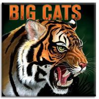 Big Cats 158117781X Book Cover