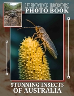 Stunning Insects Of Australia Photo Book: Explore Nature's MarvelsWith 40 Incredible Insect Images From Australia For Enthusiasts B0DPJVL1M1 Book Cover