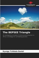 The BEPSEE Triangle 6630269667 Book Cover
