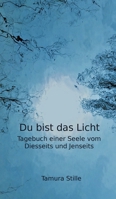 Du bist das Licht: Tagebuch einer Seele vom Diesseits und Jenseits 3749792674 Book Cover