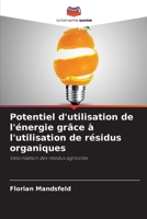 Potentiel d'utilisation de l'énergie grâce à l'utilisation de résidus organiques 620964404X Book Cover