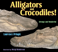 Alligators and Crocodiles!: Strange and Wonderful 1590782569 Book Cover