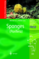 Sponges (Porifera): 37 3642624715 Book Cover