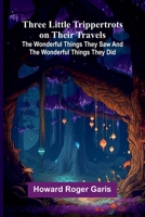 Three little Trippertrots on their travels: The wonderful things they saw and the wonderful things they did 9376559517 Book Cover