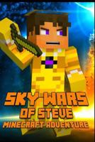 Sky Wars of Steve: A Minecraft Adventure: A Magnificent Minecraft Adventure Novel! Hunger Games Series - Survival Games. a Treasure for All Minecraft Fans! 1502368633 Book Cover