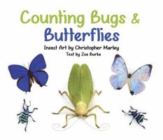 Counting Bugs and Butterflies: Insect Art by Christopher Marley 0764981293 Book Cover