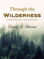 Through the Wilderness: Finding God's Presence When All Seems Lost. 194479803X Book Cover