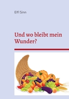 Und wo bleibt mein Wunder?: Unmögliche und fantastische Geschichten 5 3756851532 Book Cover