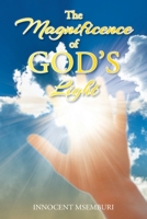 The Magnificence of God's Light 1638740127 Book Cover