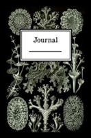 The Crazy Useful Journal II (Lichens) 1892619156 Book Cover