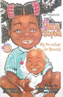 The Adventures of Nina Sophia: Book 3 - My Brother Is Special 1734694262 Book Cover
