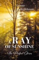 A Ray of Sunshine: The Perfect Storm 1805415468 Book Cover