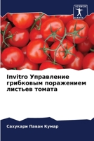Invitro Управление грибковым поражением листьев томата 6204155016 Book Cover