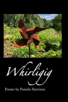 Whirligig 1625493800 Book Cover