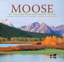 Moose of Yellowstone and Grand Teton 1560374926 Book Cover