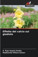 Effetto del calcio sul gladiolo (Italian Edition) 6208354358 Book Cover
