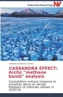 CASSANDRA EFFECT: Arctic “methane bomb” analysis: Consultation without response to scientists about an abrupt feedback of clathrate release in 2025/30 B084DG819Q Book Cover