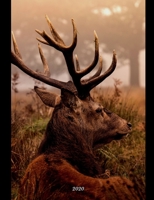 2020: Big Deer Planner for the Avid Hunter. 7 X 9 Inches. Great for Tracking, Scouting, and Notes. 2-Year Calendar and Bold Weekly Planner Included. Durable and Easily Stored. 1707415439 Book Cover