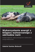Wykorzystanie energii z biogazu wytwarzanego z odchodów swin 6209085199 Book Cover