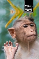 Monkey Ape Week Planner Weekly Organizer Calendar 2020 / 2021 - Little Diva: Cute Wildlife Animal Pet Bullet Journal Notebook Diary in 6" x 9" Inch Pocket Size 1675639604 Book Cover