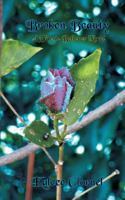 Broken Beauty: Faerie Believers 03 1475229038 Book Cover