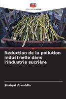 Réduction de la pollution industrielle dans l'industrie sucrière (French Edition) 6209076084 Book Cover